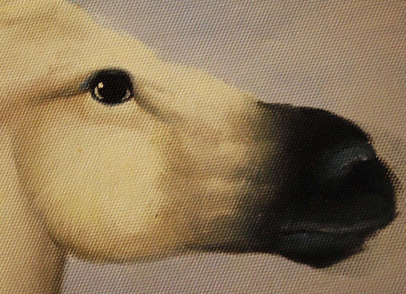 HORSE RUNNING ALONG OCEAN Original Art ACRYLIC PAINTING/CANVAS Signed 36" x 24"