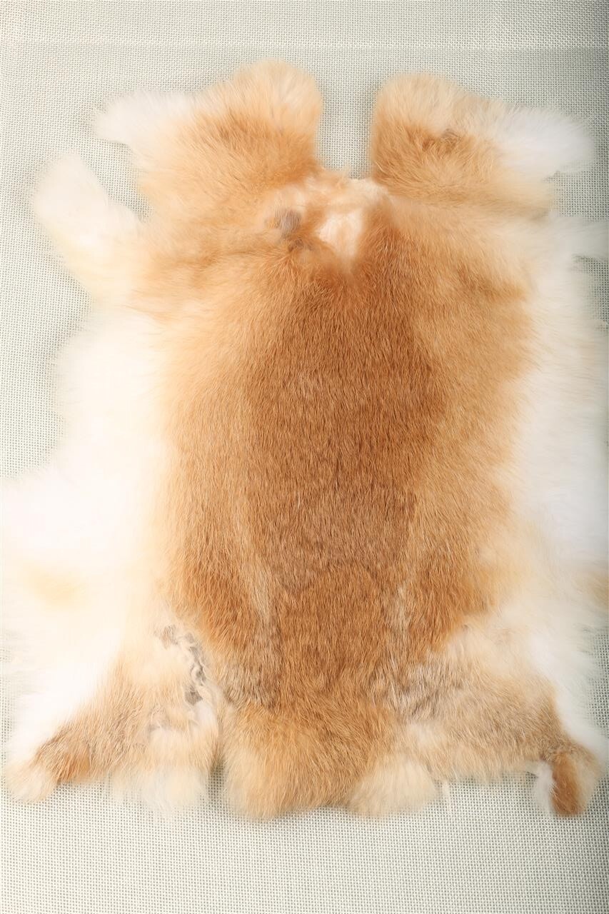1 X Tanned Rabbit Skin Hide Pelt For Craft Animal Fur Decor Natural 8''-14''