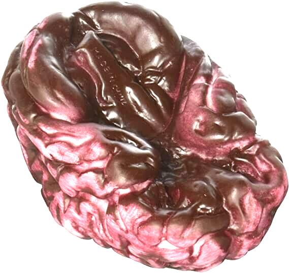 LifeSize Fake Zombie BLOODY BRAIN BUTCHER TRAY Human Organ Halloween Horror Prop