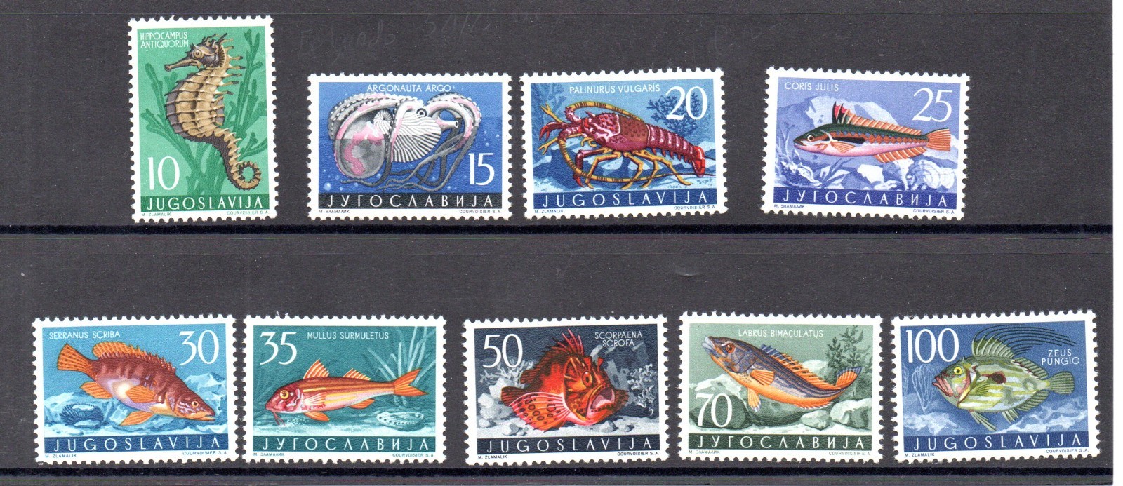 Yugoslavia 1956 set Fish/Fische stamps (Michel 795/803) nice MNH