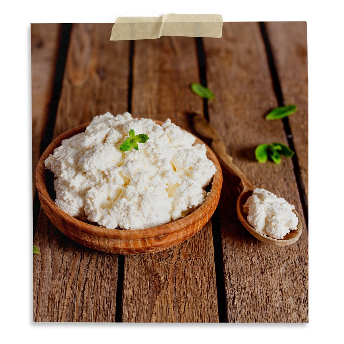 Liquid Microbial Rennet - Vegetarian Rennet - Vegan Cheesemaking