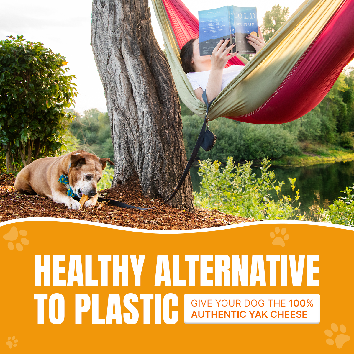 Himalayan Yak Milk Dog Chews 5lbs Bulk Large dogs, Hard & Long lasting Chews