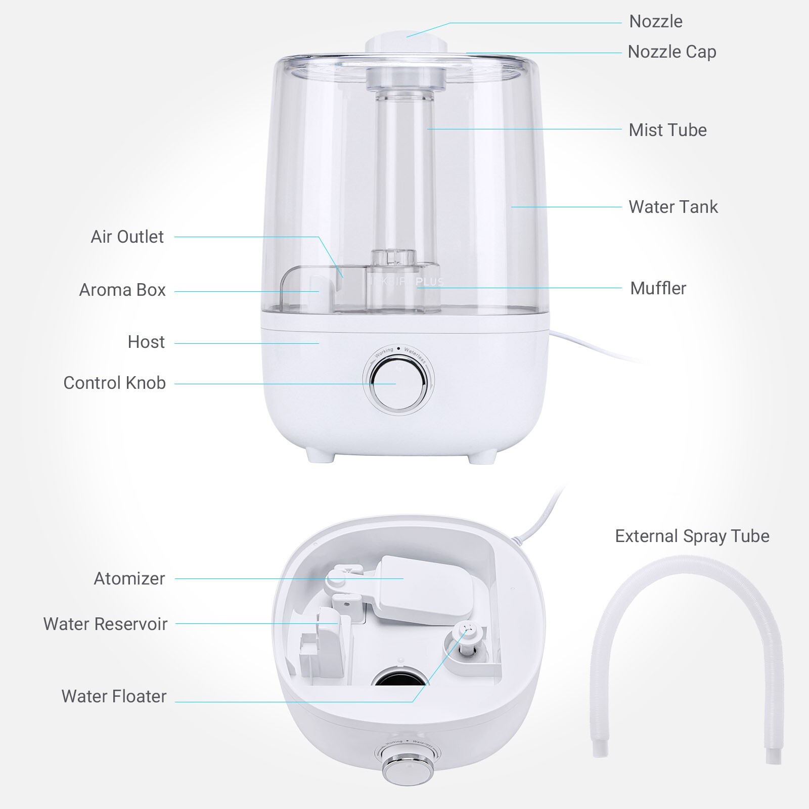 Reptile Humidifiers Fogger Mist 4L Large Tank Amphibians Terrarium Extended Hose