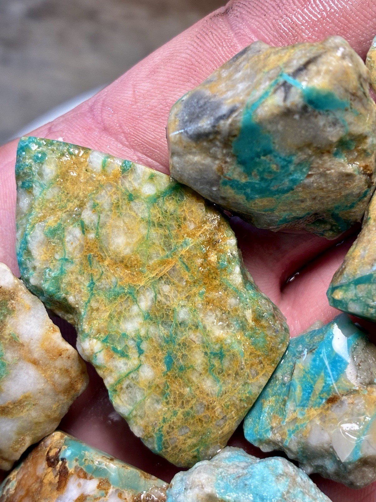 1 Lb of Skinny Turquoise Mountain Nugs! Now Available Again! ￼