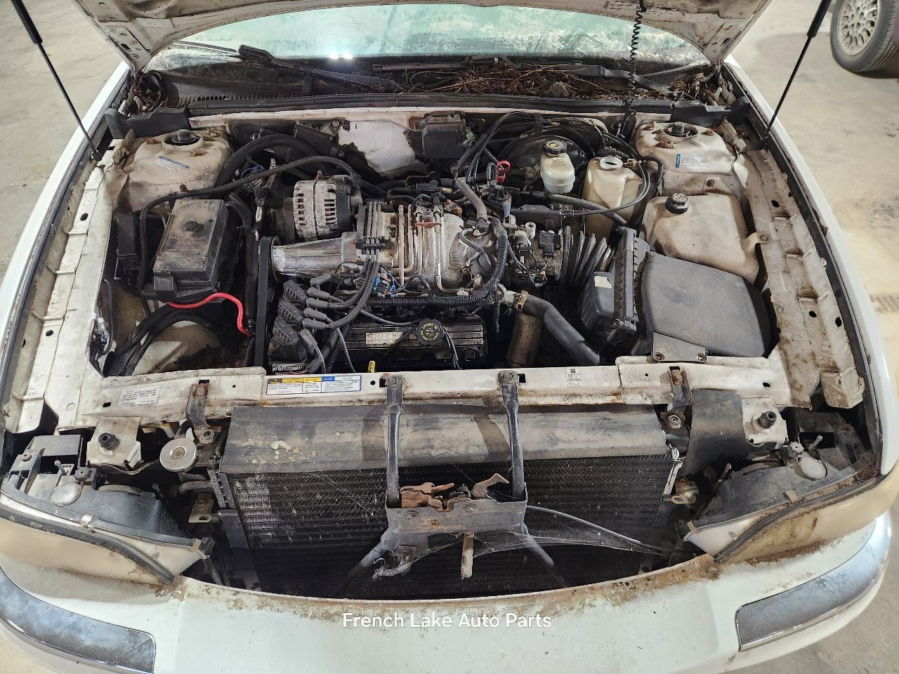 Supercharger 3.8L Fits 1999 PARK AVENUE ULTRA 1317253