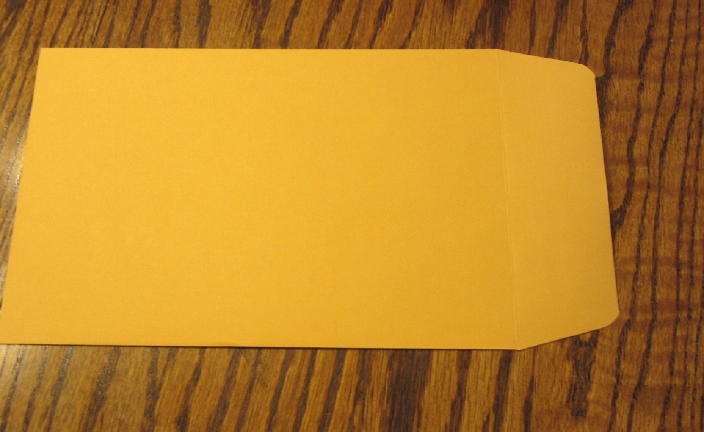 10 KRAFT CATALOG ENVELOPES 6 X 9 MAILERS WITH GUMMED FLAP 6" BY 9" SIDE SEAL