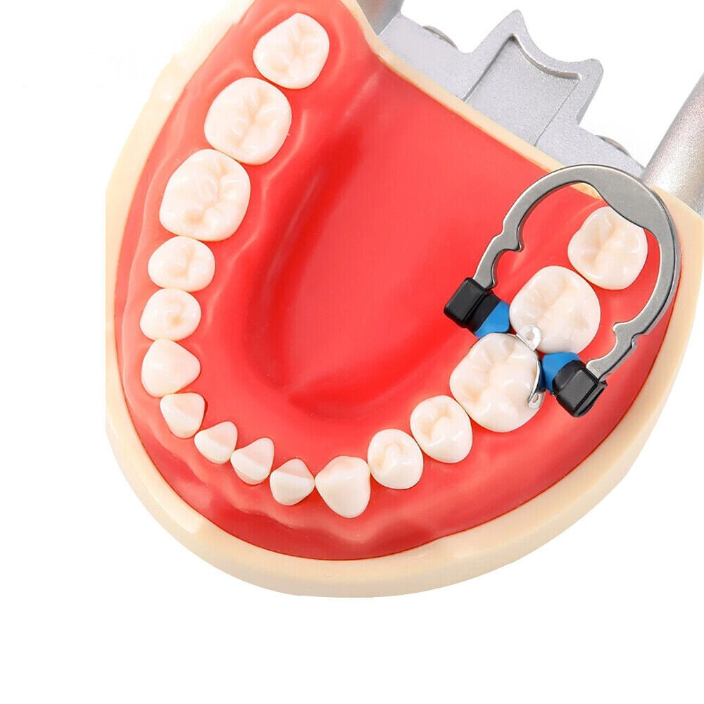 Dental Matrix Bands Ring Sectional Matrice Clamp Fit Garrison Palodent V3 System