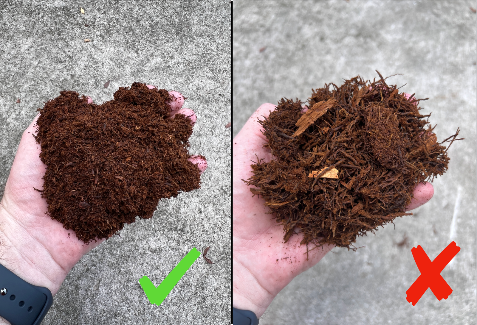 Premium "Fluffy" Tree Fern Fiber (New Zealand) - Debris Free