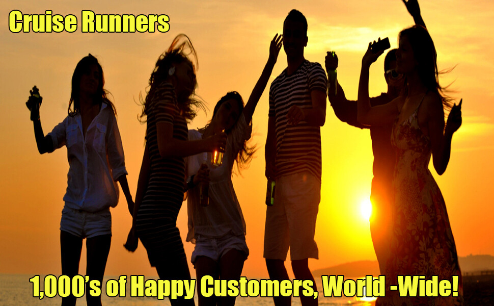 Fake Shampoo Alcohol Flask Rum Runners For Cruise Kit Hide Sneak Booze Liquor