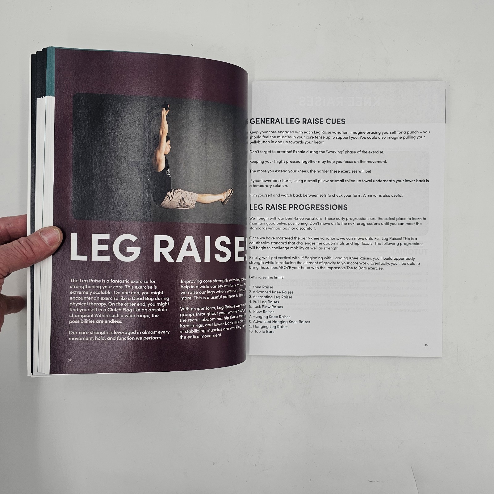 Hybrid Calisthenics by Hampton Liu | Bodyweight Fitness Workout Guide 2023 VG+