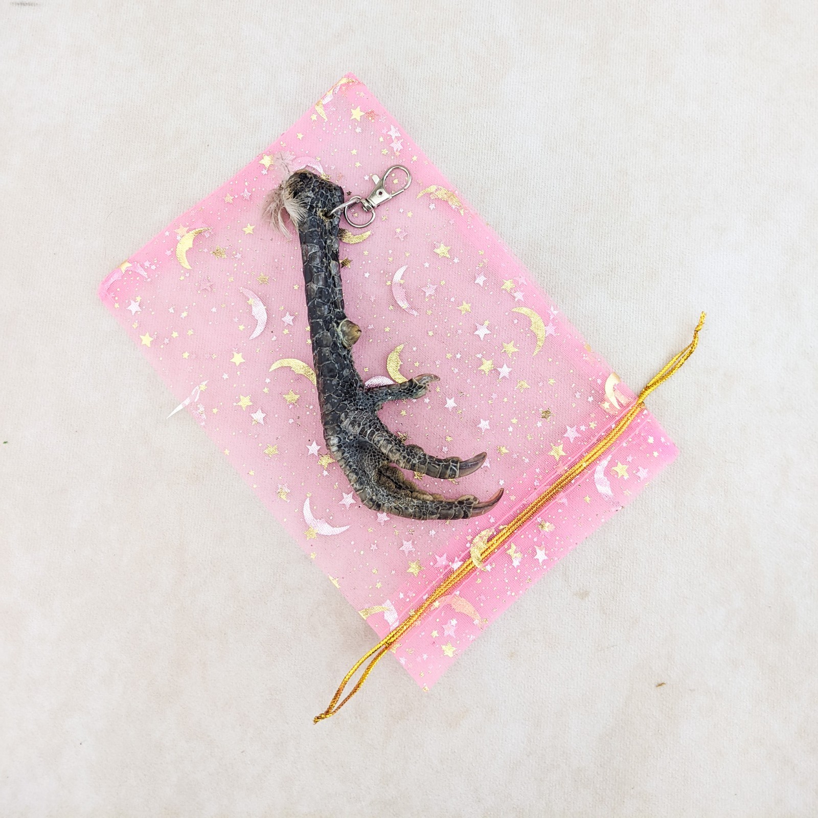 Chicken Foot KeyChain Hook talisman Taxidermy Oddity Curiosity voodoo pirate