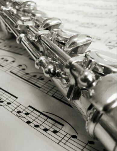 BRAND NEW PRO MARCHING BAND STUDENT/INTERMEDIATE SILVER CONCERT FLUTE-KEY OF C