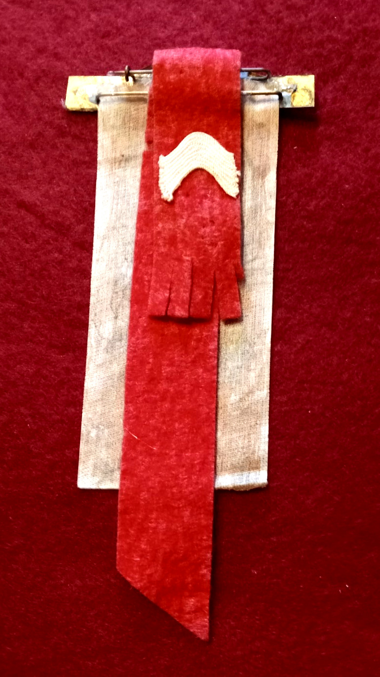 NICE ORIGINAL PRESIDENT RUTHERFORD B. HAYES CAMPAIGN RIBBON MEDAL