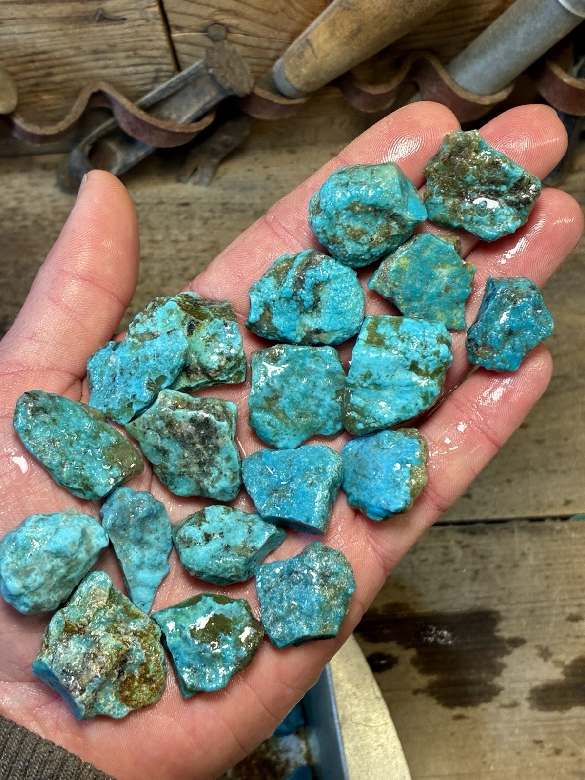 1 Lb. Ithaca Peak, Real Turquoise! Electric blues! High in matrix. ❤️‍🔥3 Left!