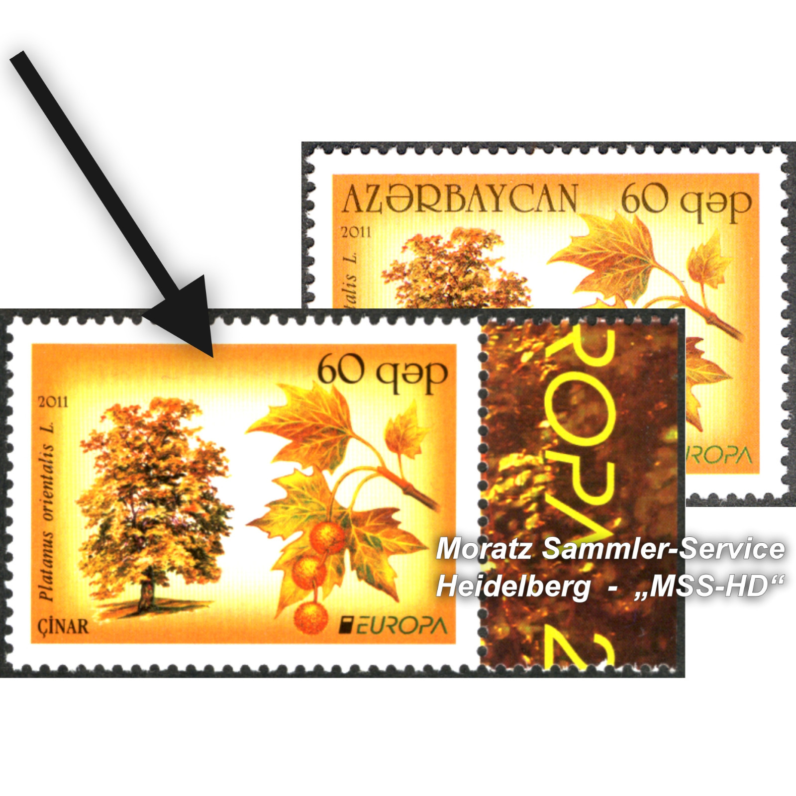 Azerbaijan Europe CEPT 2011, ERROR missing country name, Michel 841 I