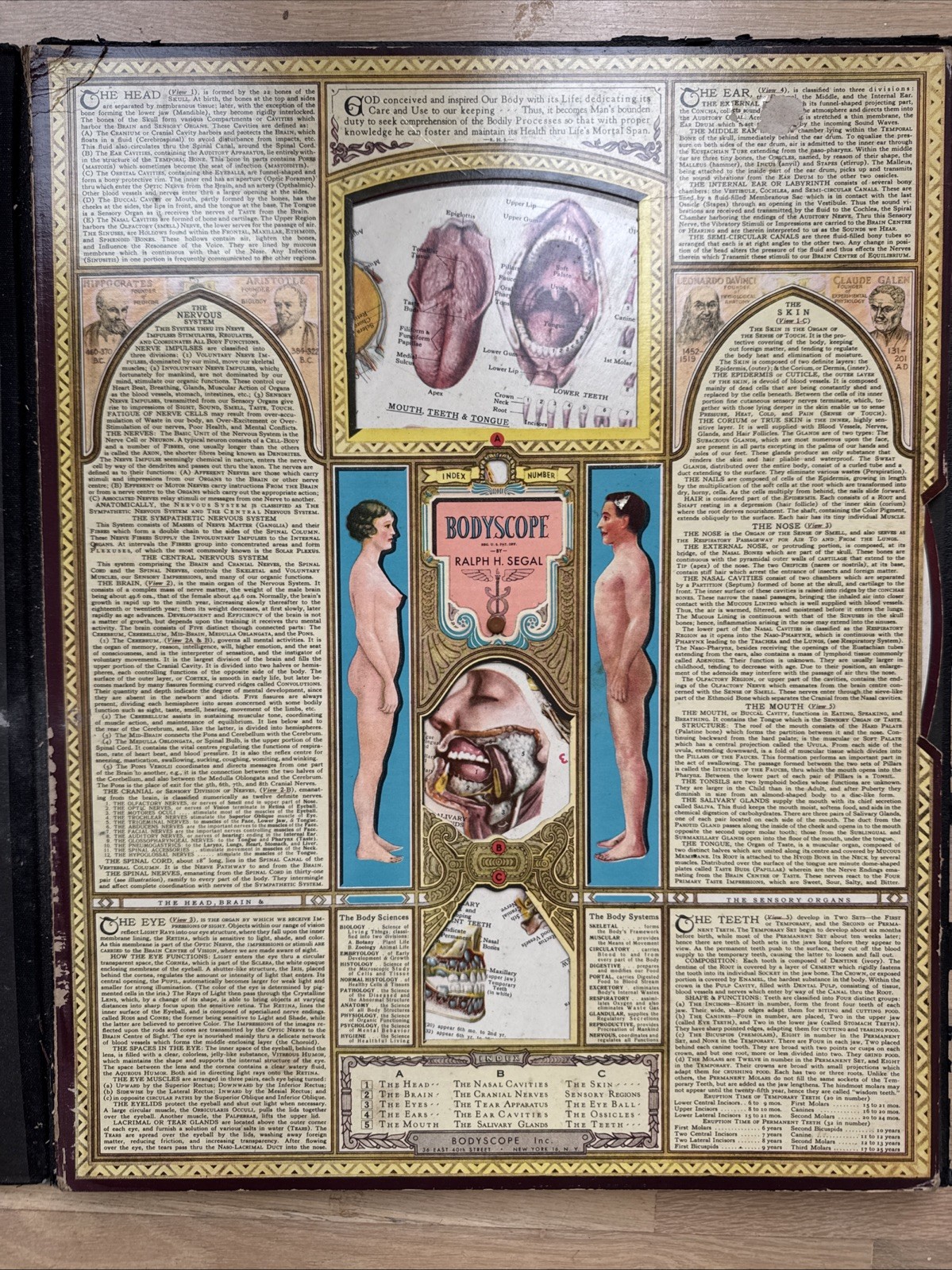 Bodyscope by Ralph H. Segal Human Anatomy Medical Chart and Case 1948 Flaws