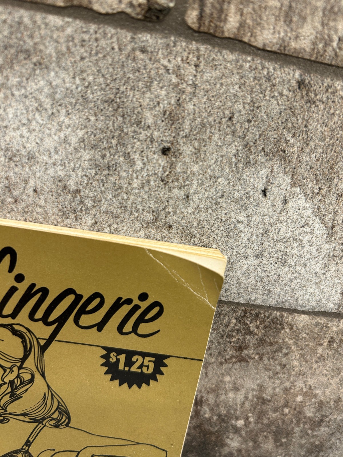 Vintage 1971 Sew Lovely Lingerie Sewing Techniques Books by Laverne Devereaux