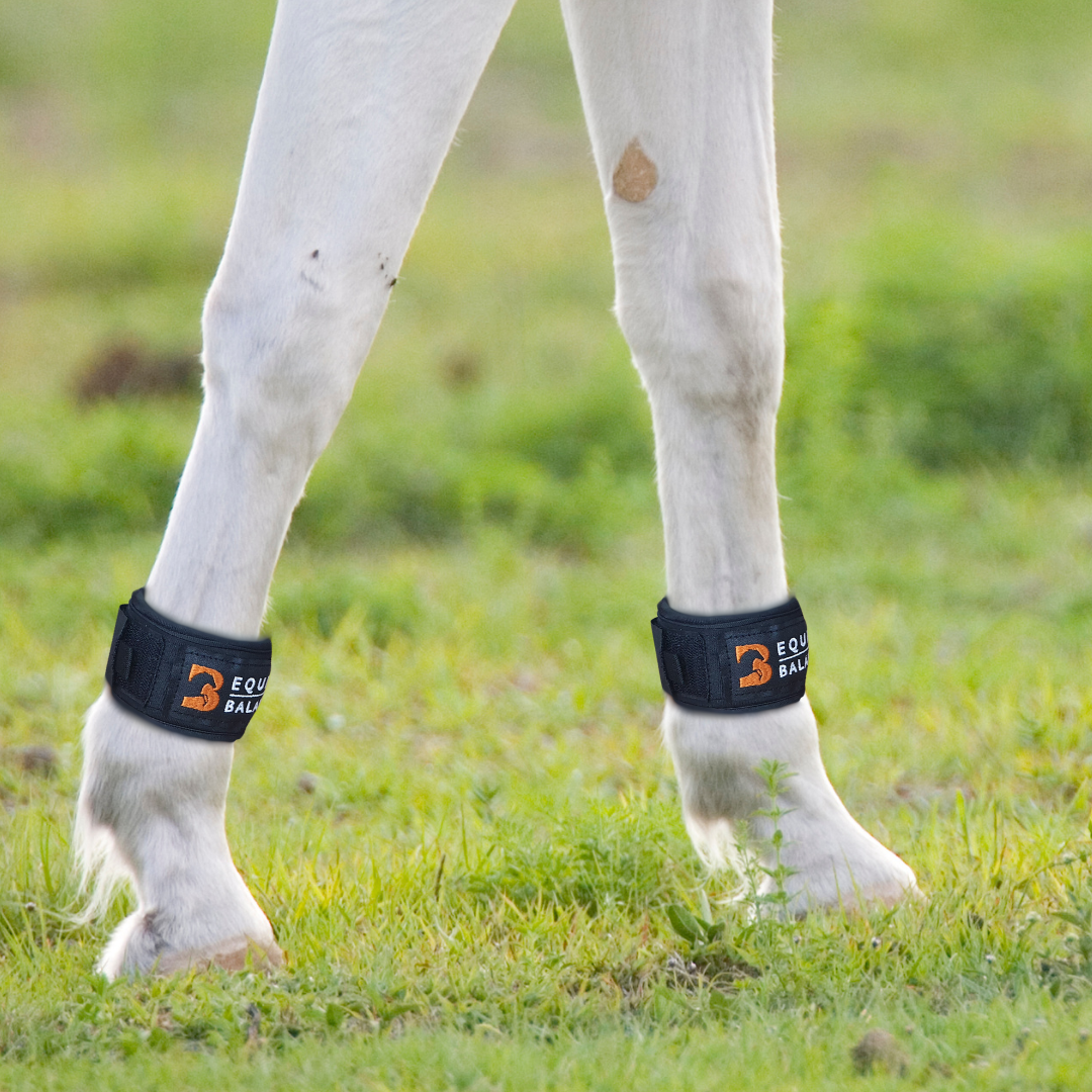 Magnetic Therapy Pastern Wraps Leg Bands for Horses and Ponies