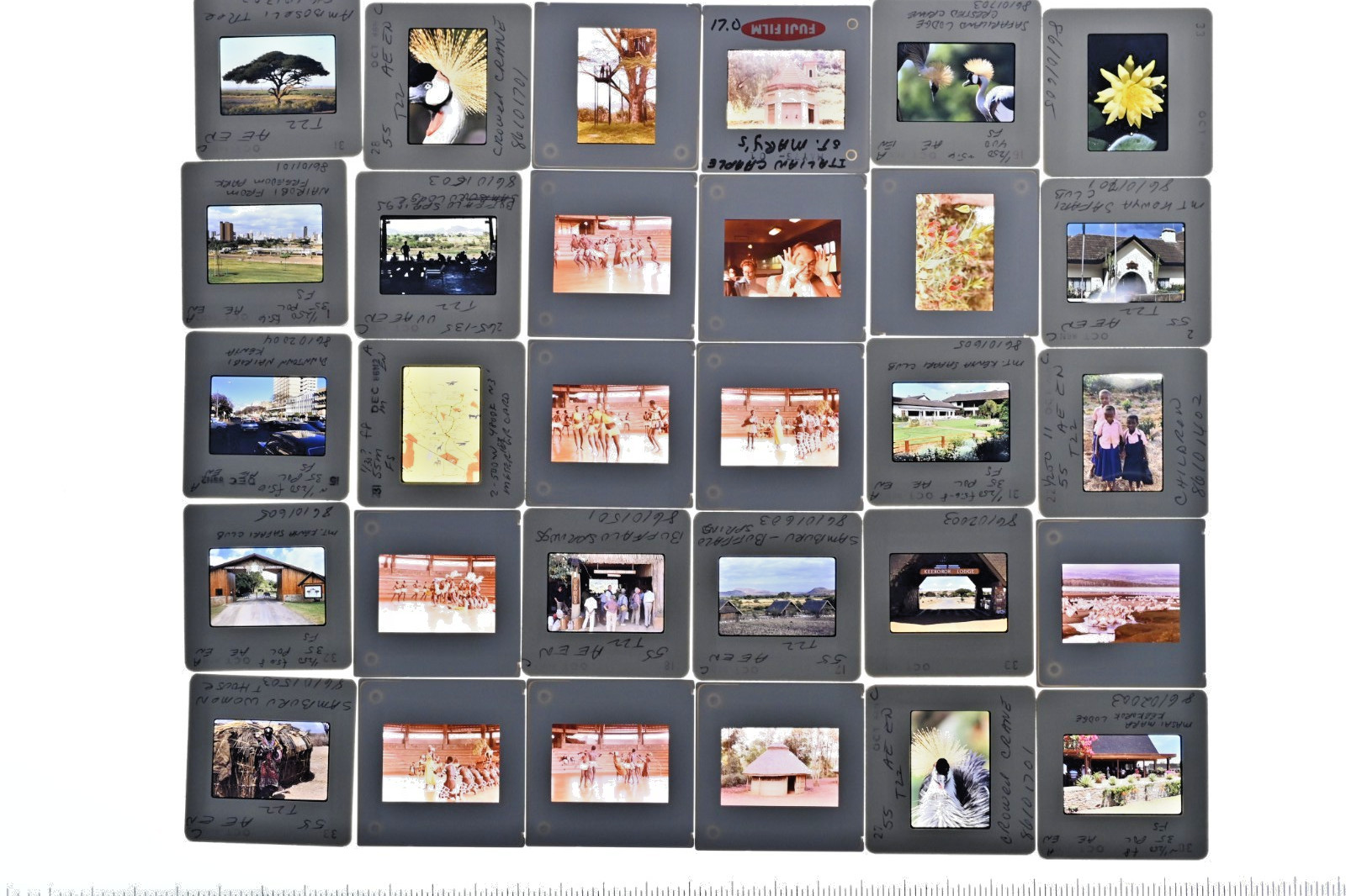 Vintage 1986 Kenya Safari Slides 120 Lot Wildlife Tribal Photo