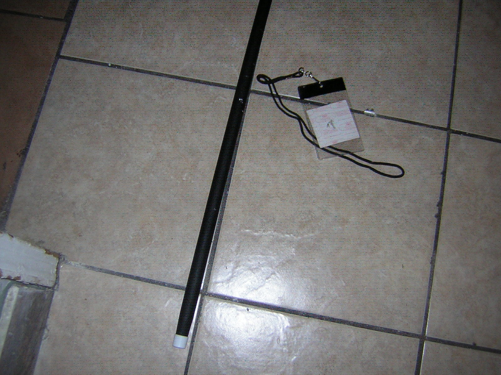 ALICE COOPER STAGE USED CANE W/ BACKSTAGE PASS 8-25-2005