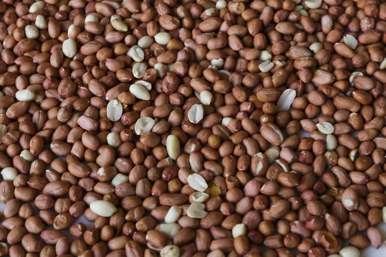 Wakefield Virginia 45LB Bird Feed Peanuts for Birds, Squirrels, Deer, Wildlife