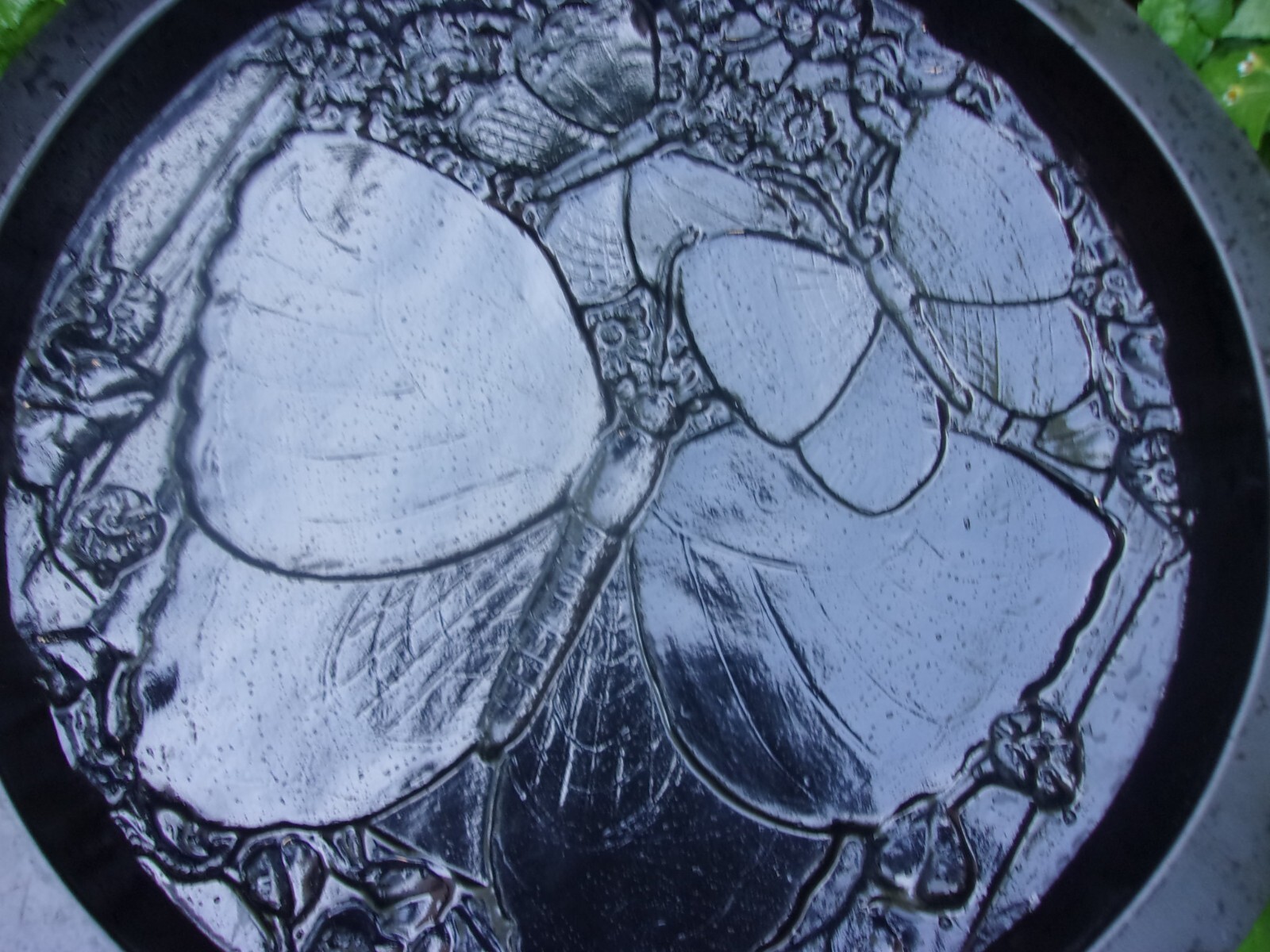 Butterfly steppingstone mold concrete plaster cement garden mould 12" x 1" thick