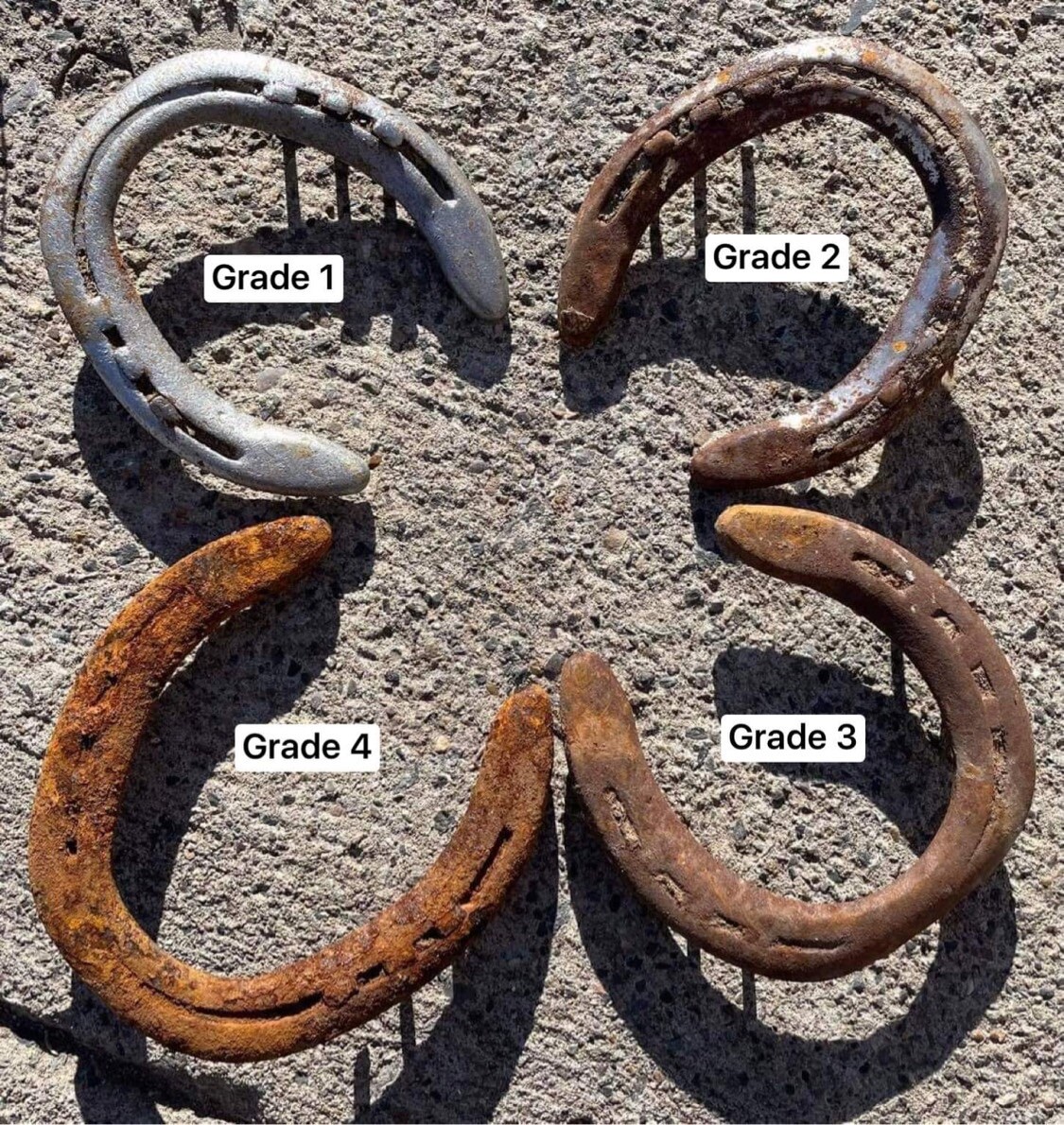 Horse Shoes, Ridden In The Rocky Mountains; Horse Shoe; Horseshoe; Horseshoes