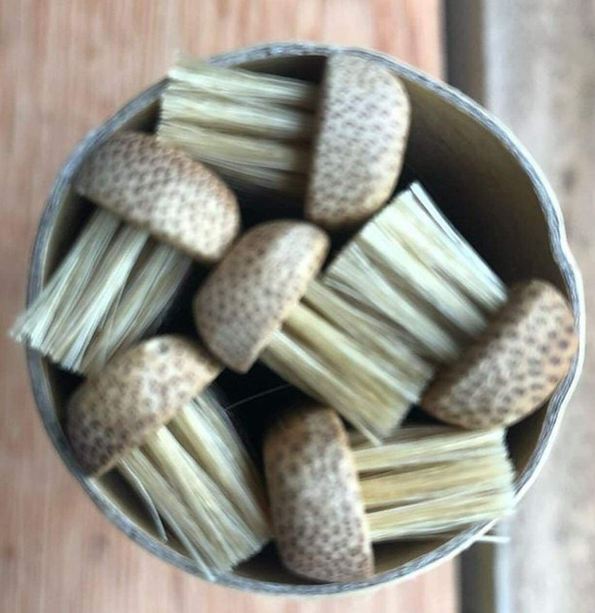 Gaia Guy - Natural Bristle Bamboo Toothbrush - Totally Biodegradable - 6-Pack