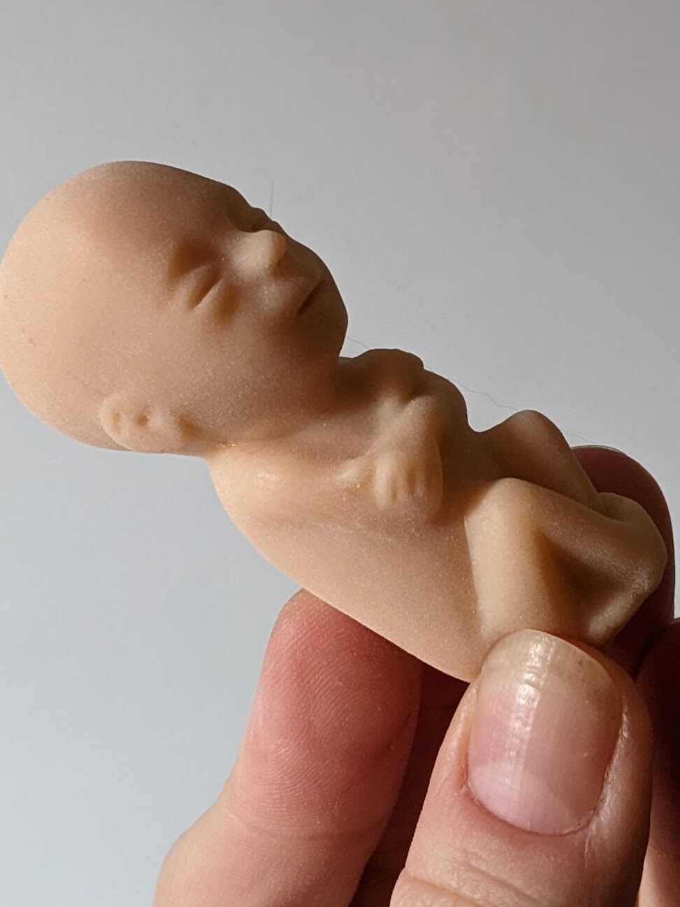 1 soft rubber model fetus, unusual medical fetal doll, abortion