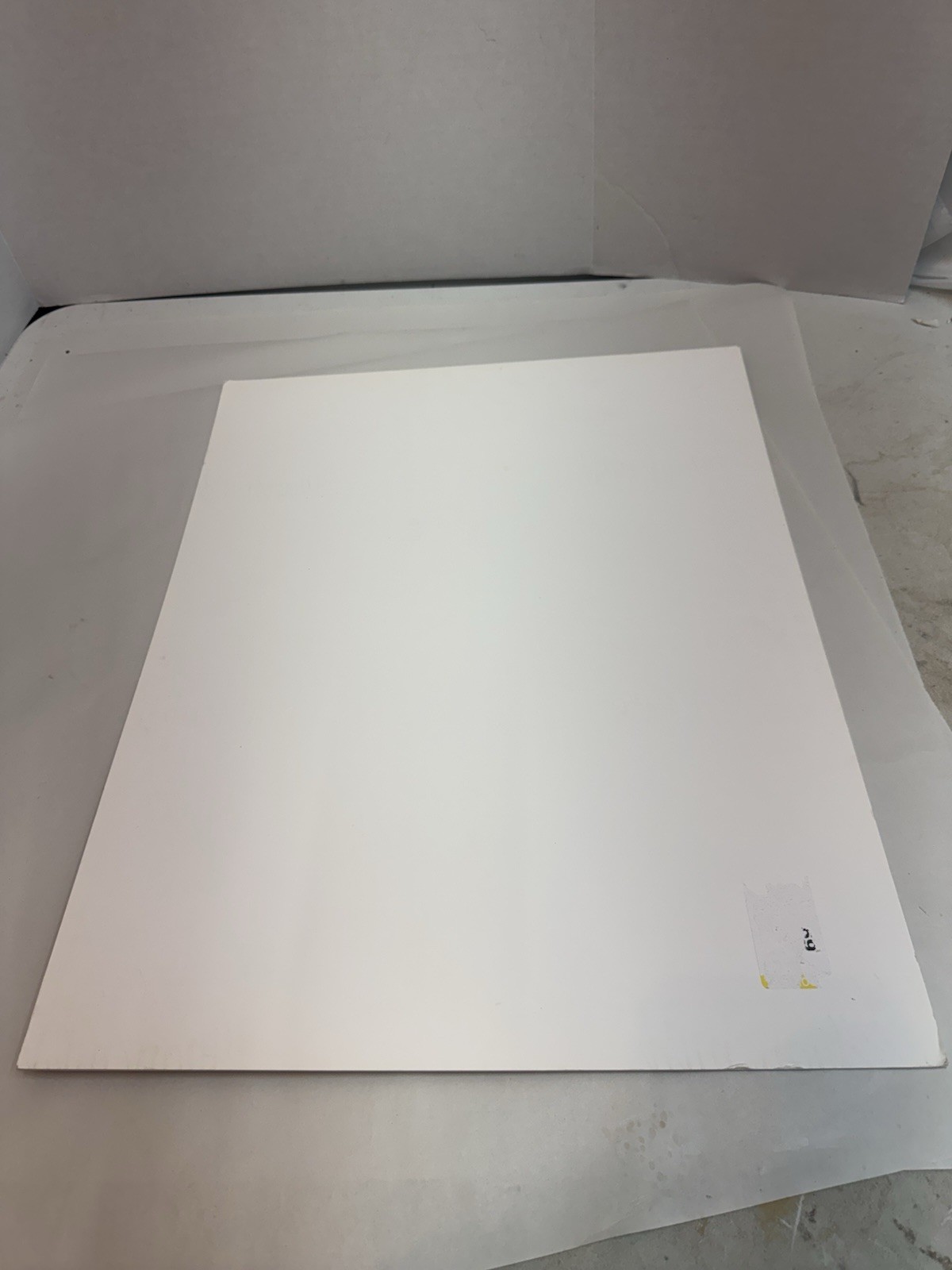 Nacogdoches Civil War Veterans Photo Display 1923 16x20