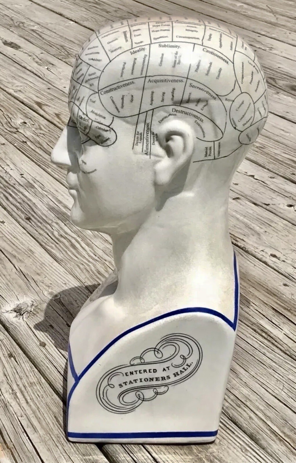 Porcelain L.N. Fowler Phrenology Scientific Psychology 17” Large Bust Head