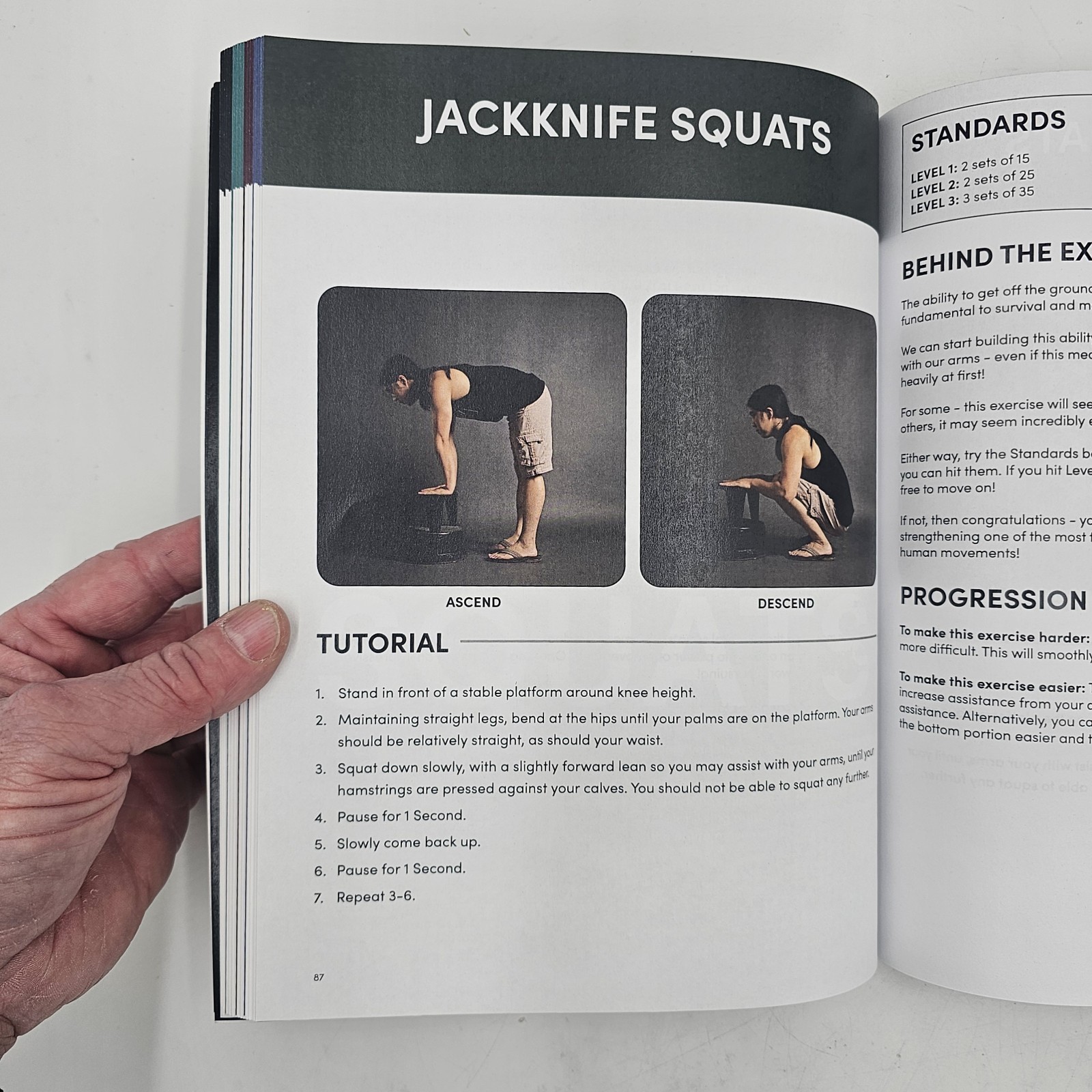 Hybrid Calisthenics by Hampton Liu | Bodyweight Fitness Workout Guide 2023 VG+