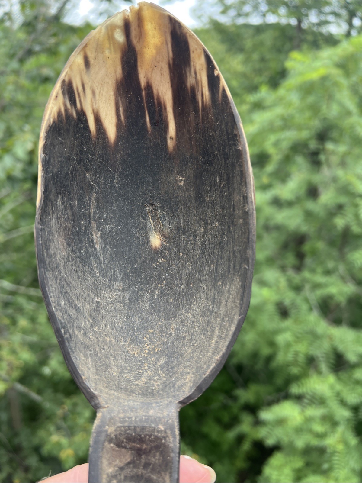 Original Native American Indian Hand carved Goat Horn Spoon; Late 19th Cent.