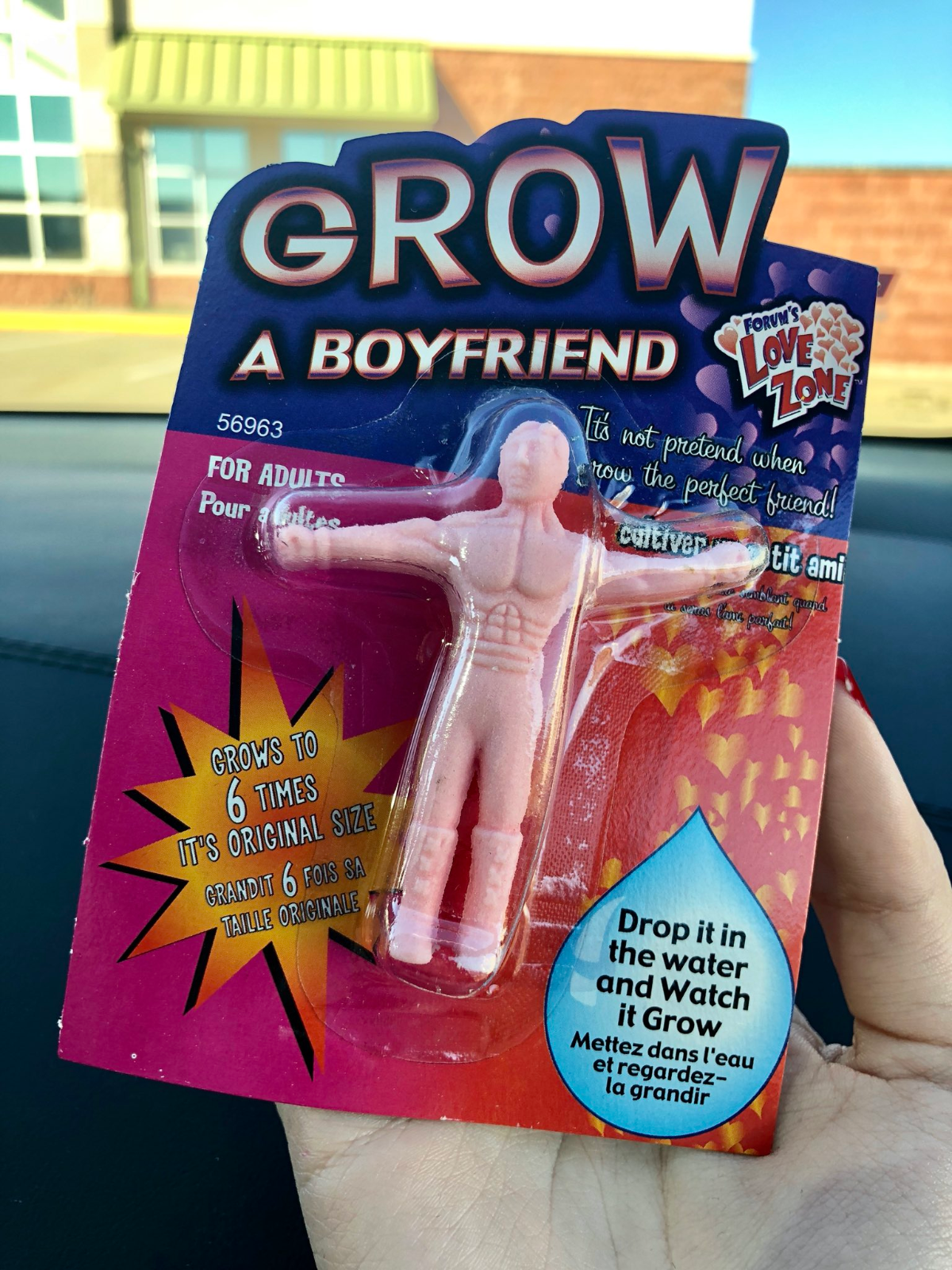 GROW A BOYFRIEND YOUR OWN MAN MALE RUDE SECRET SANTA GIFT STOCKING JOKE GAG TOY