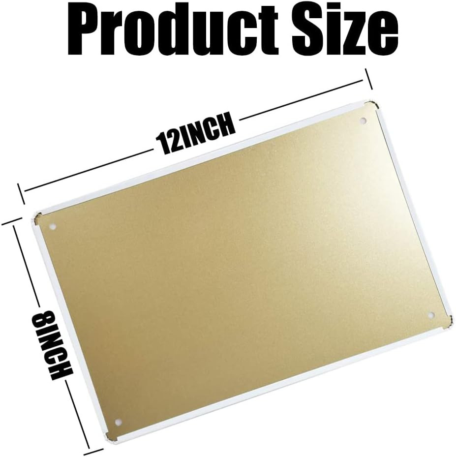 Retro Pilot Knowledge Metal Signs Vintage Airplane Decor for Home Aviation Art W