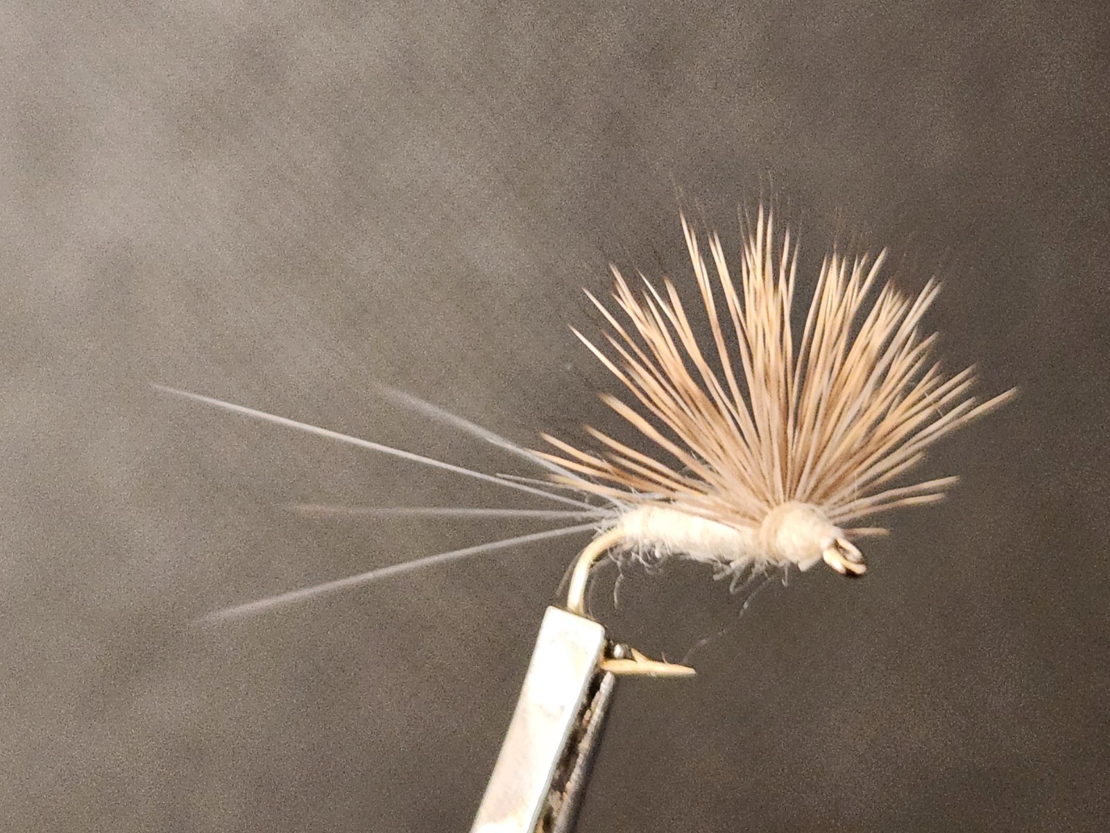 Cahill Comparadun Dry Fly, Comparadun, Cahill Compara Dun