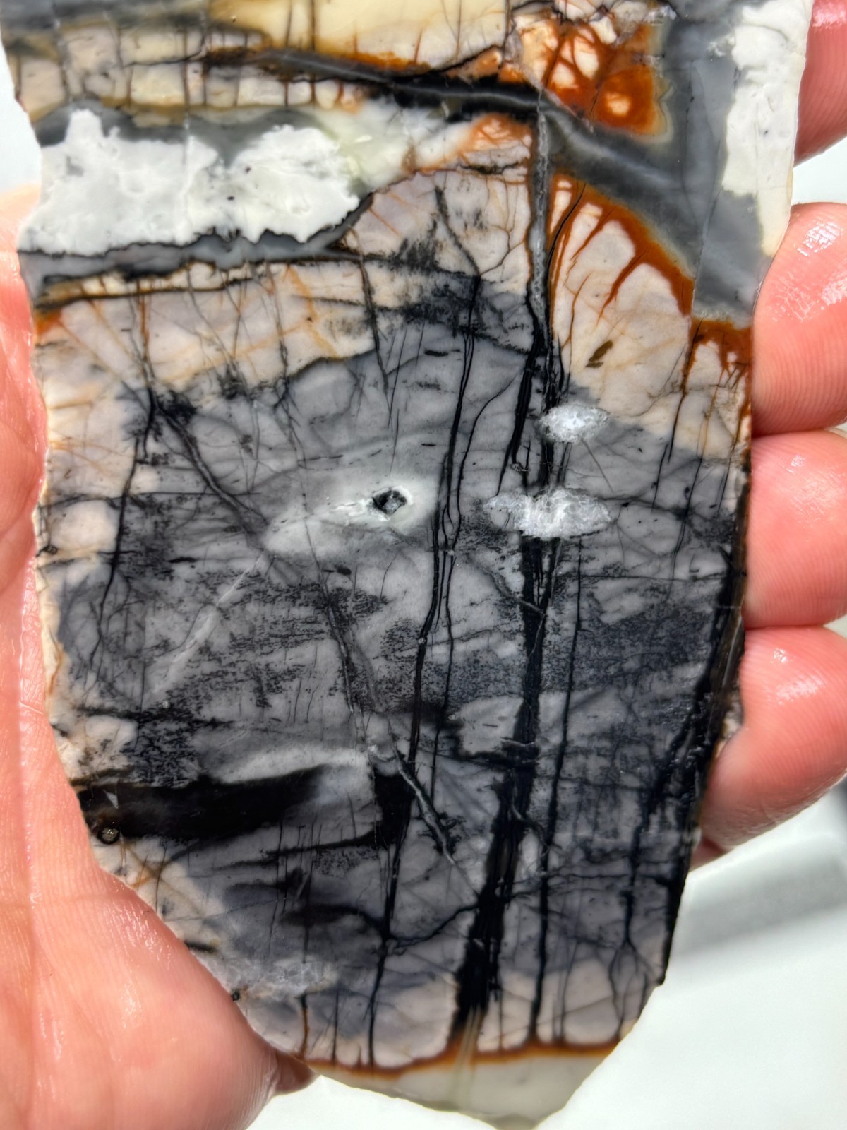 Picasso Marble (Jasper) end Slab Cabbing Lapidary Utah Combo Ship Avail