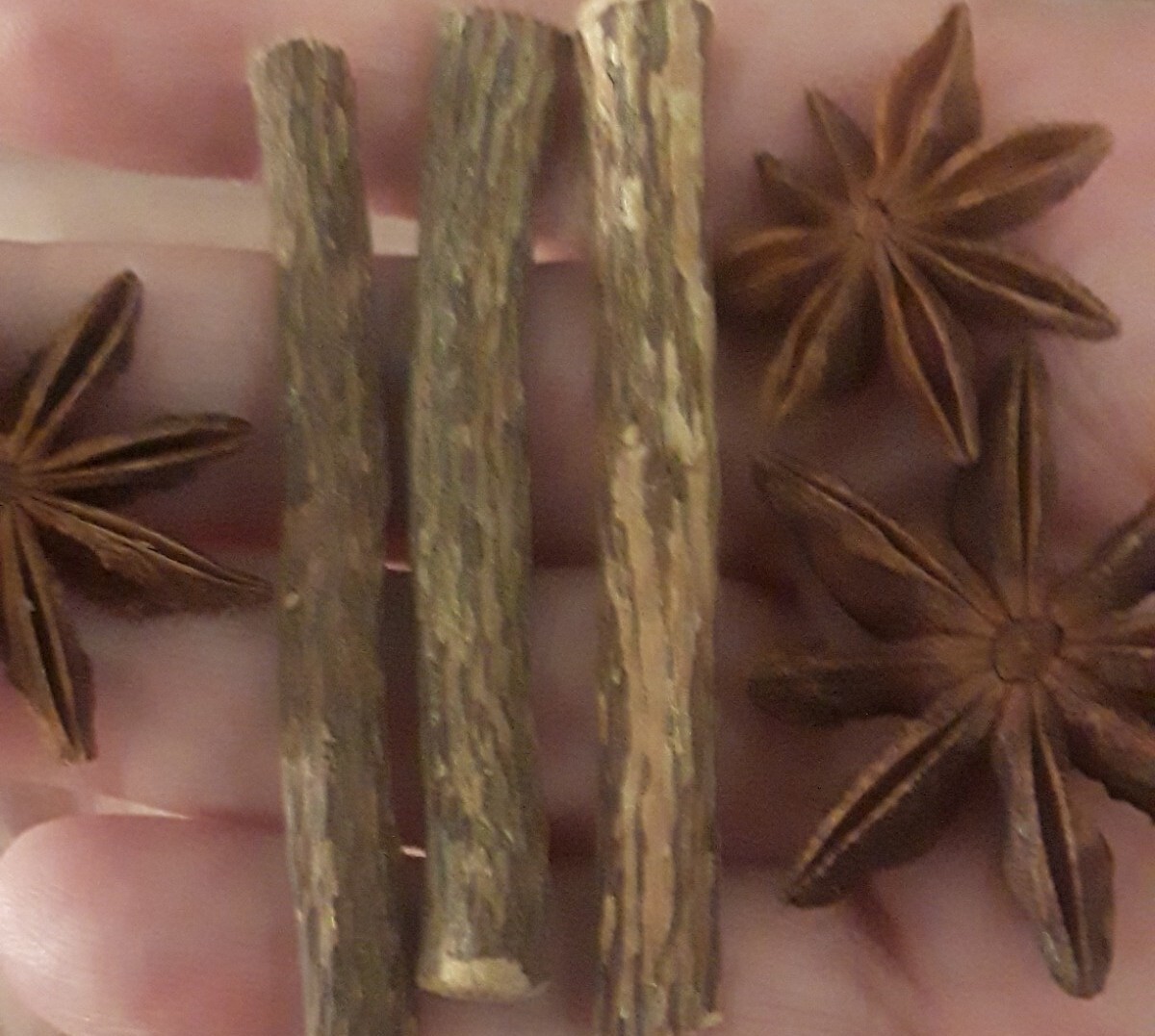 3p LOT:STAR ANISE LICORICE ROOT CHEW STICKS NATURAL NO NICOTINE STOP SMOKING AID
