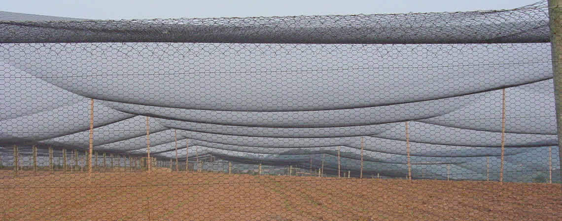 Poultry Netting 25' x 50' 1" Heavy Knotted Aviary Anti Bird Net Lasts 7-10 Years