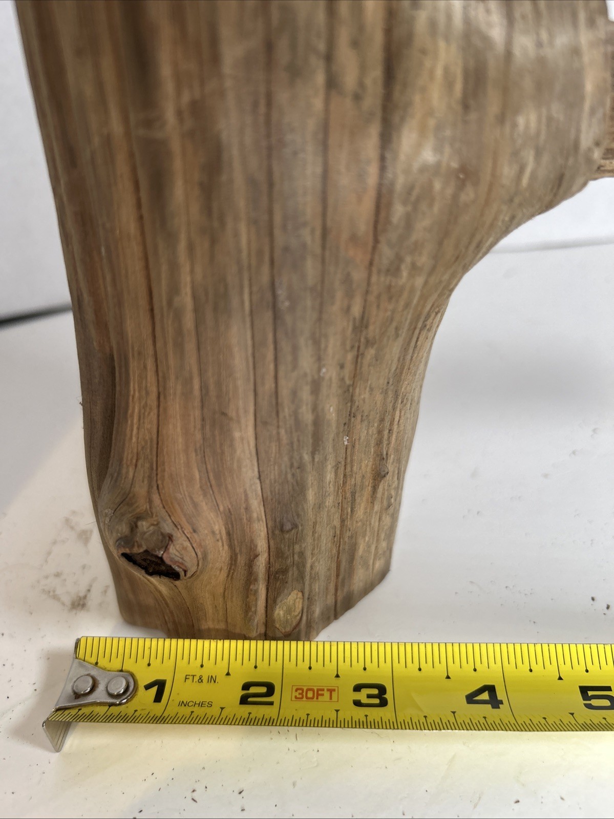 Driftwood¡ 2 Piece Set Cedar Taxidermy Beach Mountain Wedding 1 White Outside