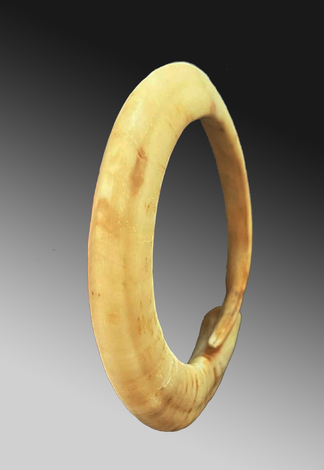 Pig tusk bracelet Currency exchange Vanuatu