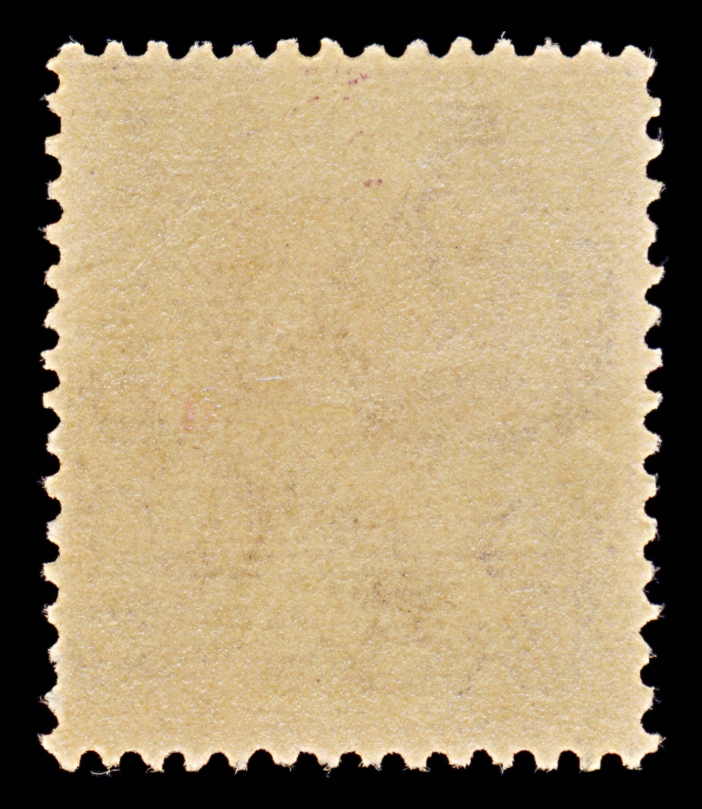 8112: Ceylon SG304 Large Scratch on Background 1912 Sc#203 Mi168 Used