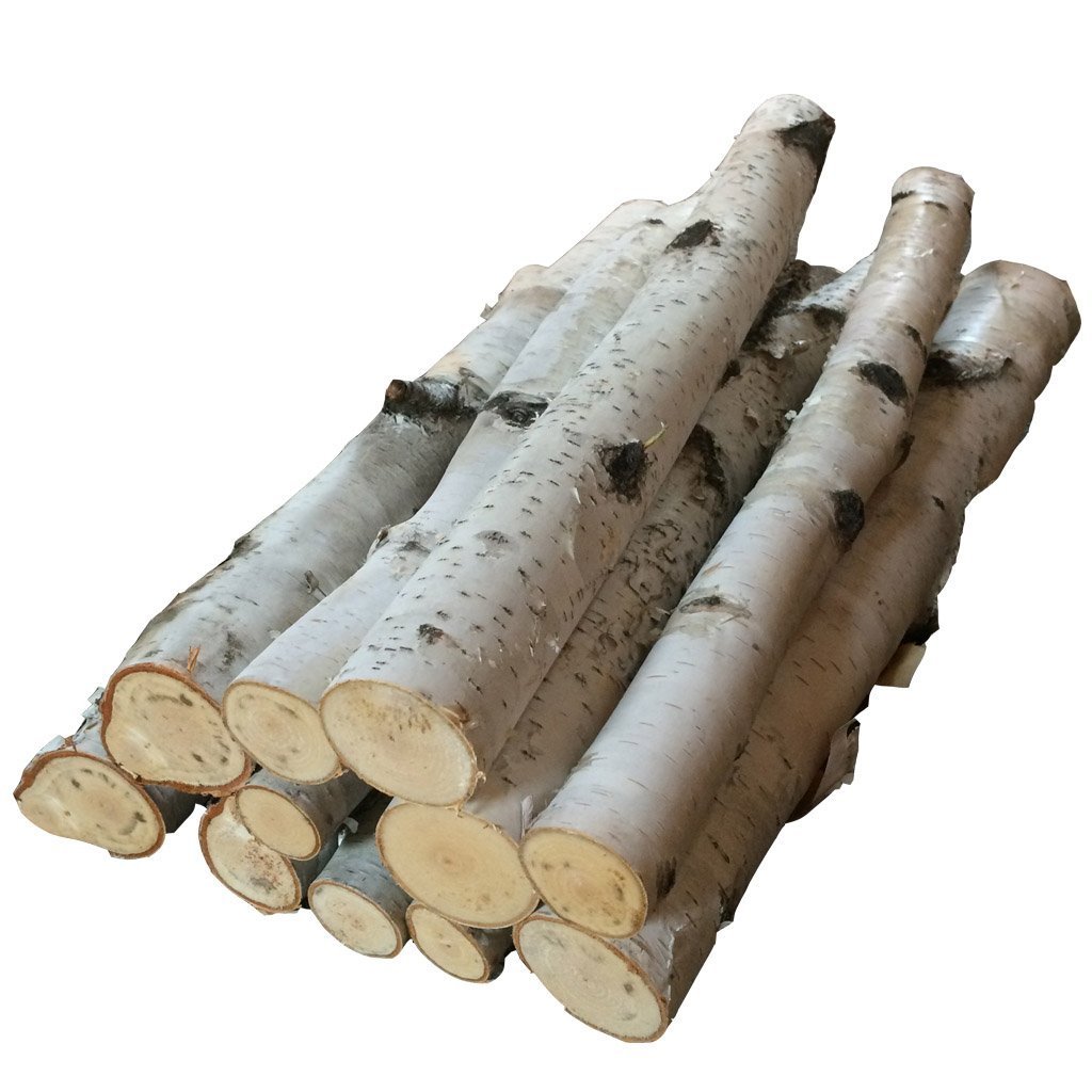 Bundle of Birch Logs