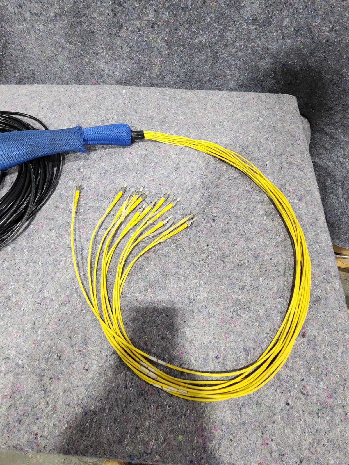 100' OCC DX 12-Strand Broadcast Single Mode ST/ST Bend Tolerant OFNR Fiber Cable