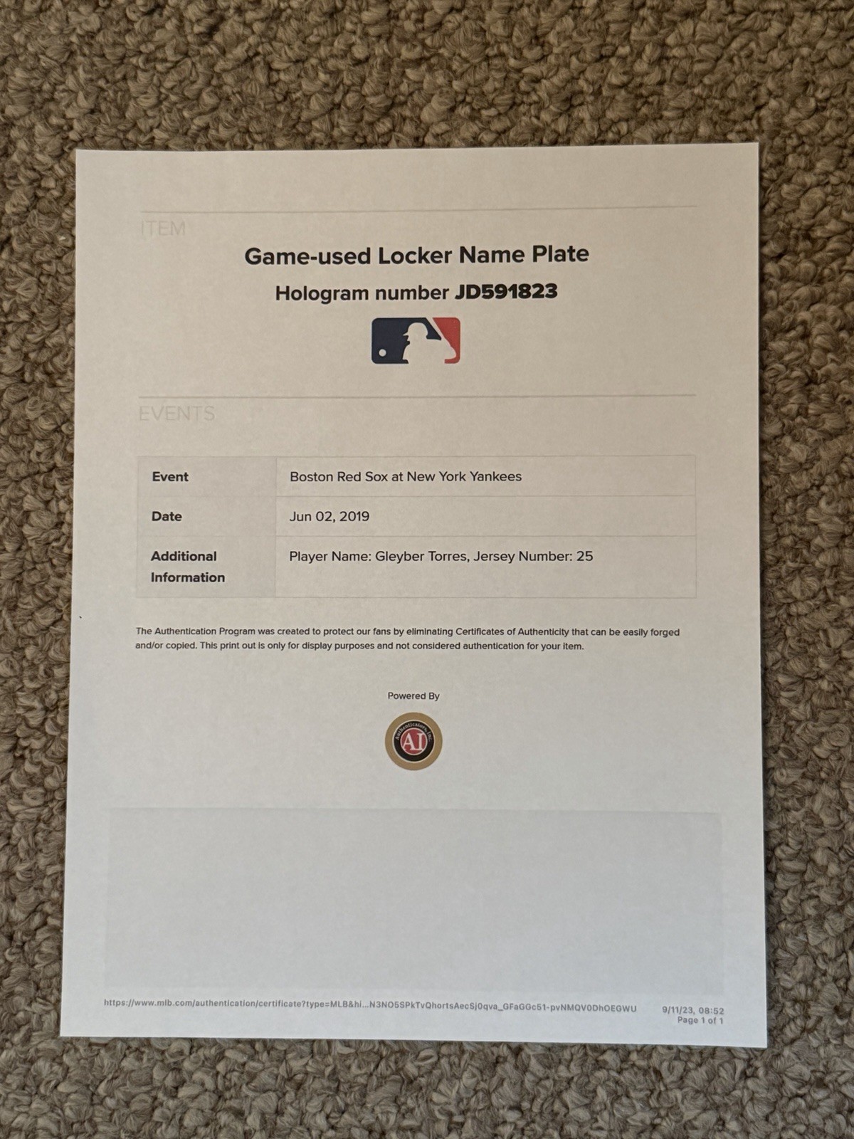 NYY Yankees 25 Gleyber Torres 2019 Locker Room Nameplate Red Sox @ Yankees MLB