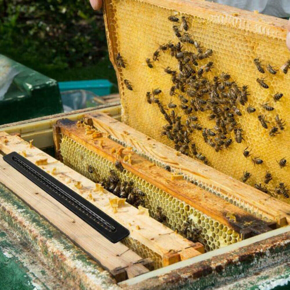 10X Plastic Small Bee Hive Beetle Blaster BeeHive Beetle Trap Beekeeping Tool US