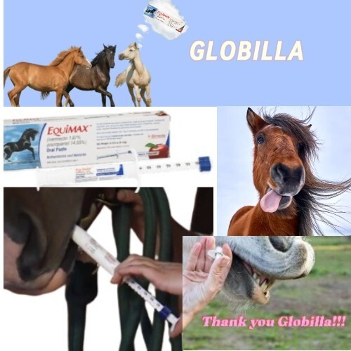 New Box Paste Horse Dewormer Apple Flavor Exp 1/2025 dur-vet equi max wormer