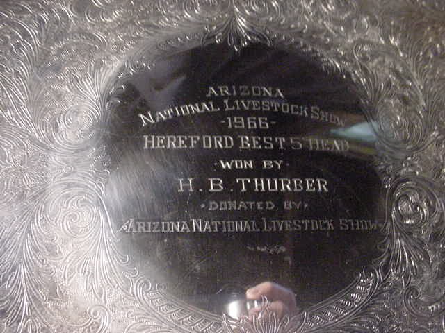Arizona national livestock show Hereford cow cattte trophy 1966 Herald B Thurber