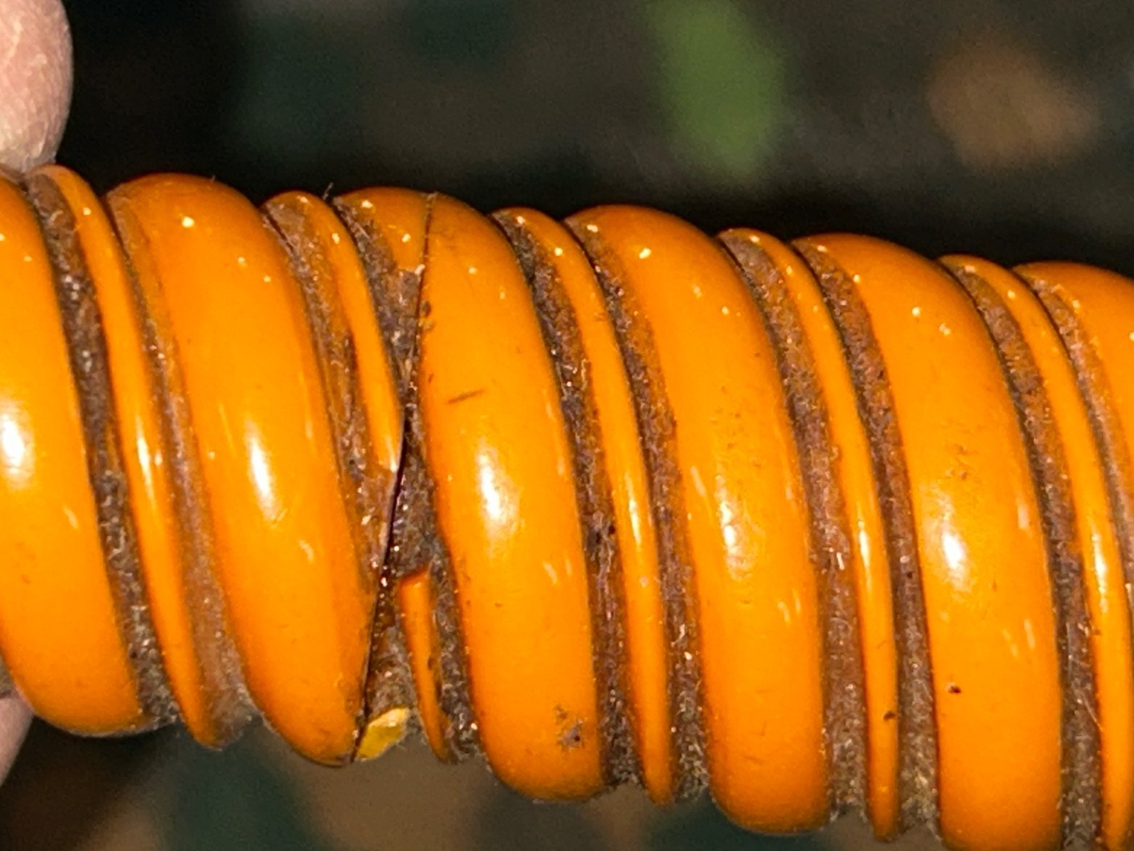 Nice Original German WW2 Orange Heer Army Dagger Grip