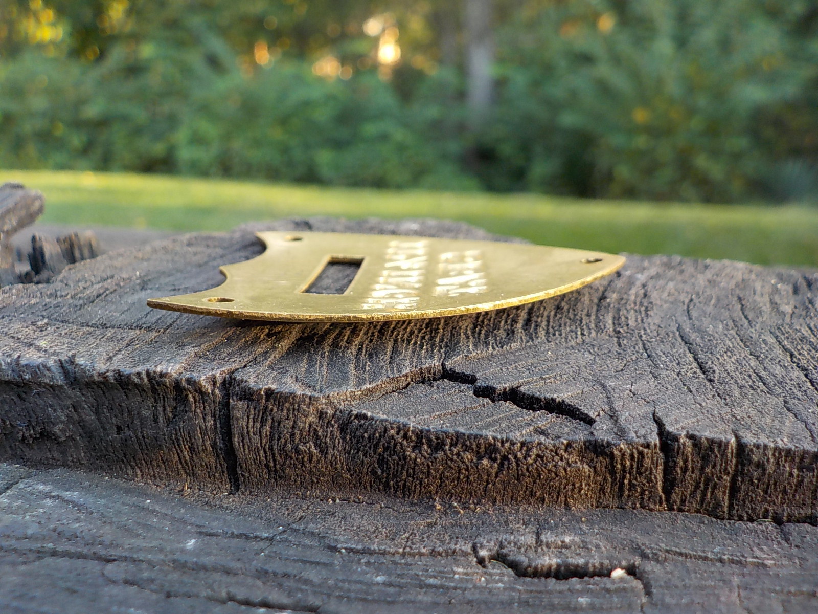 11 1/2 Inch Calvary Saddle Shield with Free Display Case for Display and Protect